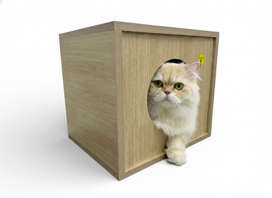 Wooden Mini Cat House | Cozy Enclosed Cat Bed & Hideout | Modern Cube Design